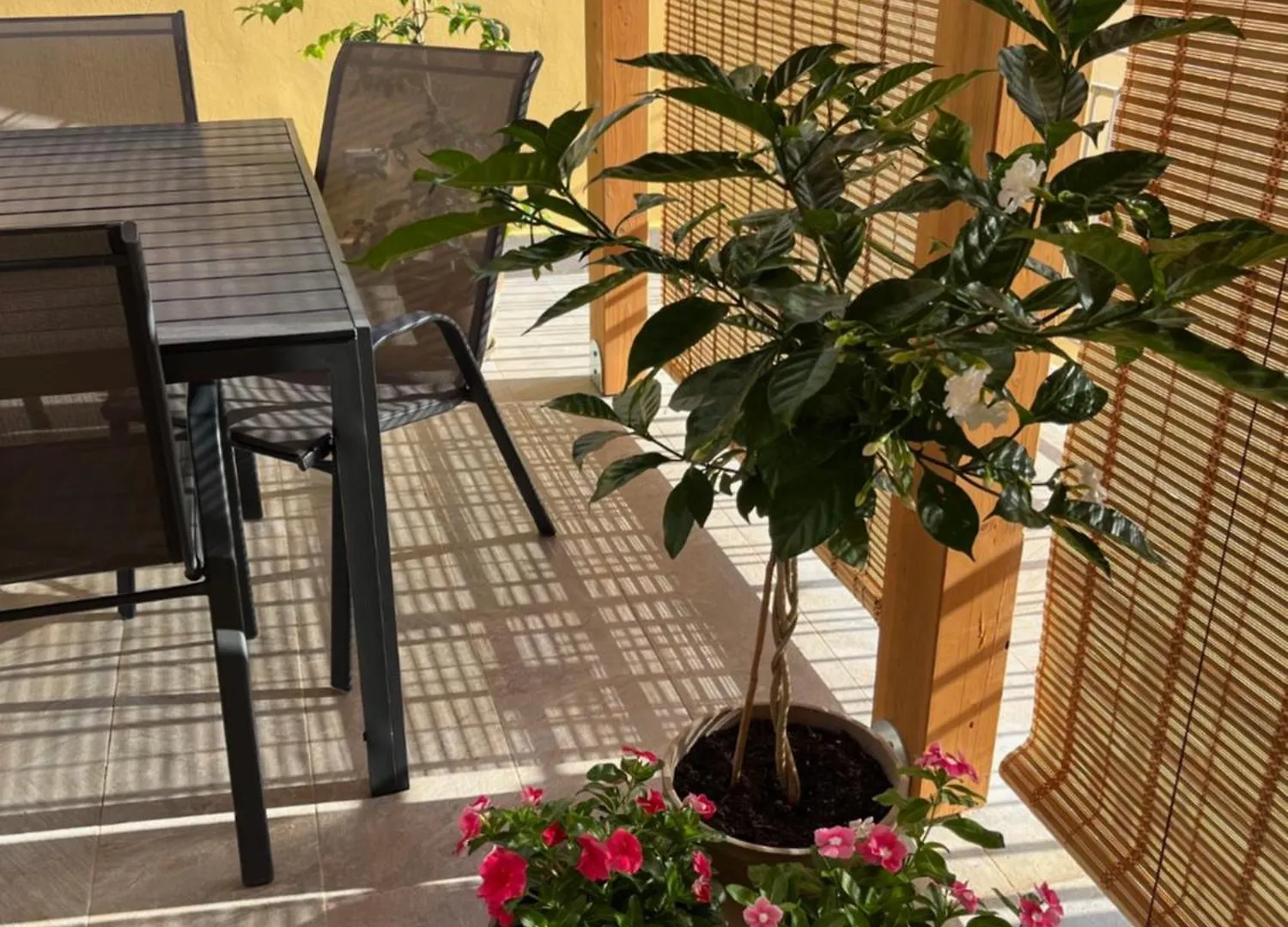 La Terrazza Di Nela Lägenhet Bagheria 0*,