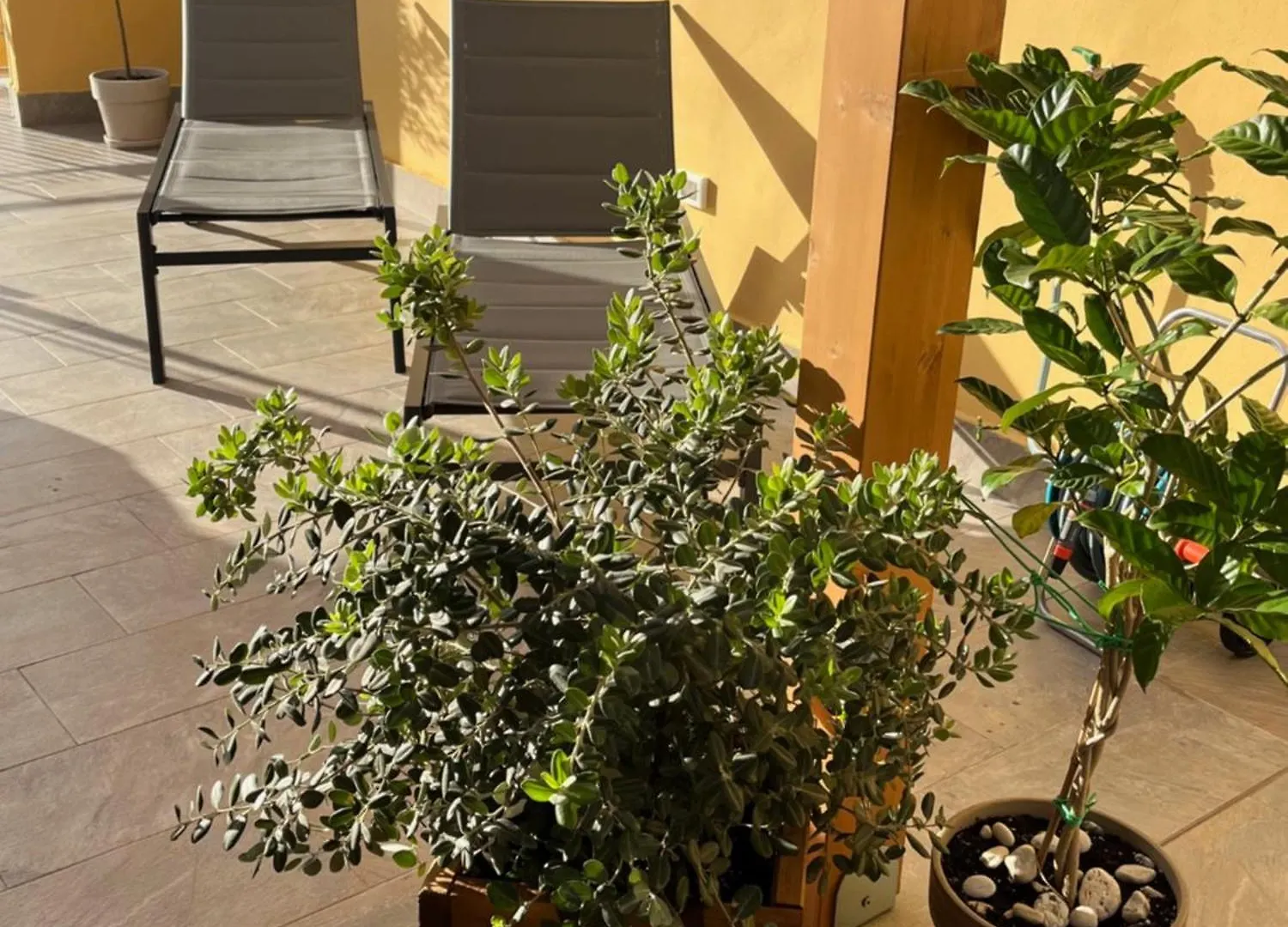 La Terrazza Di Nela Apartment Bagheria